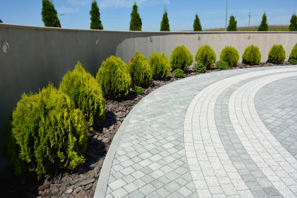 Best Driveway Repair Near Me  in Dyer, IN